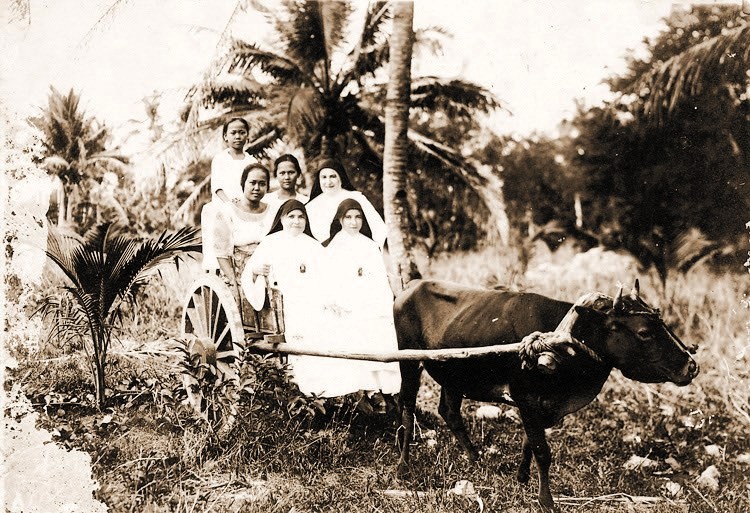 Micronesia HH (3)